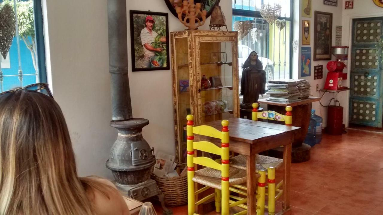 צ'ולולה Hostal El Cascabel מראה חיצוני תמונה