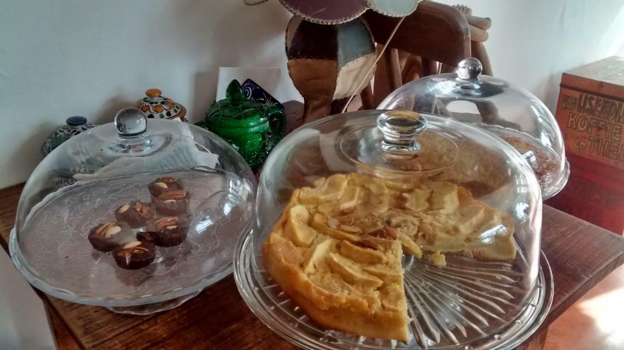 צ'ולולה Hostal El Cascabel מראה חיצוני תמונה