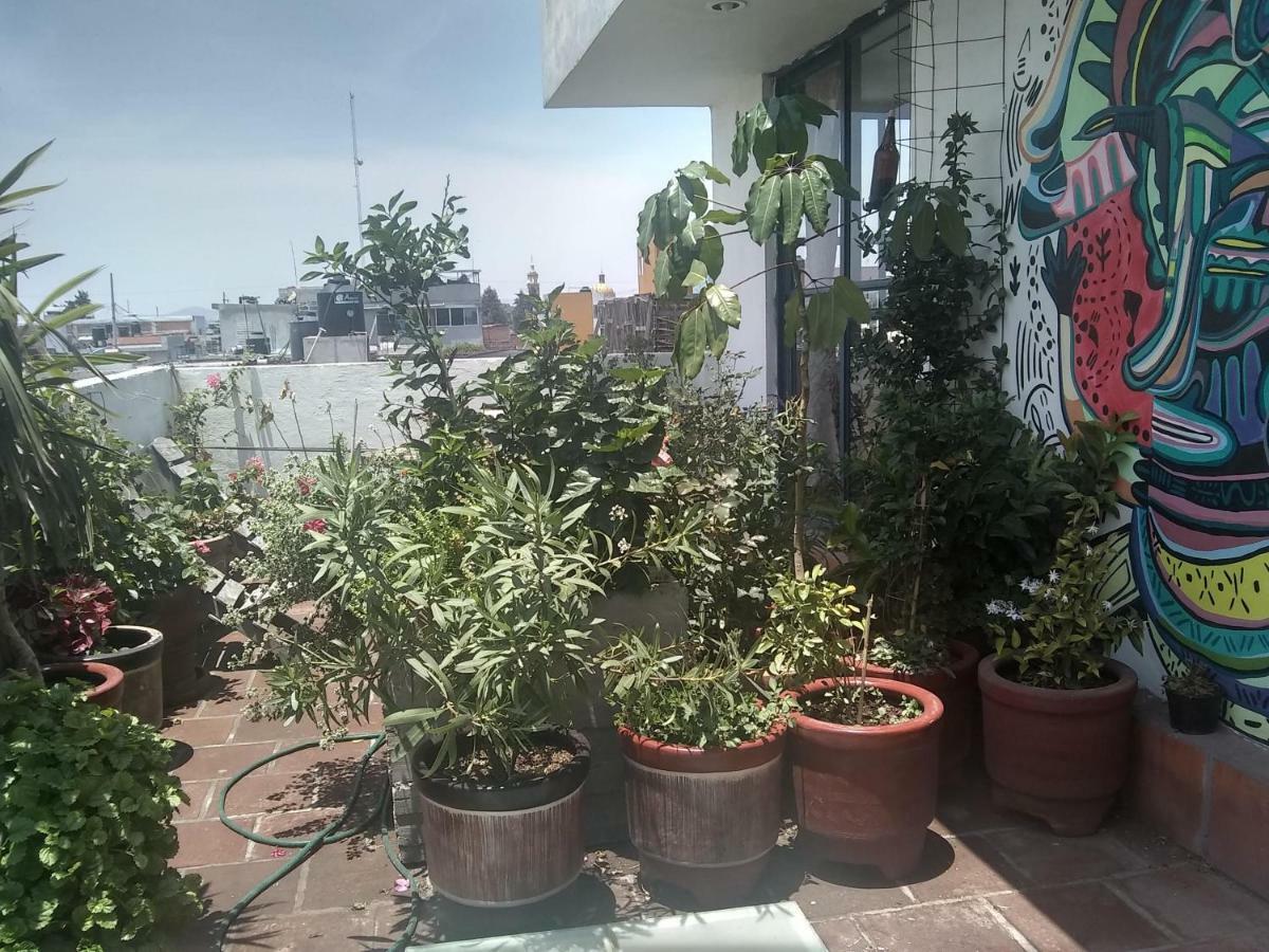 צ'ולולה Hostal El Cascabel מראה חיצוני תמונה