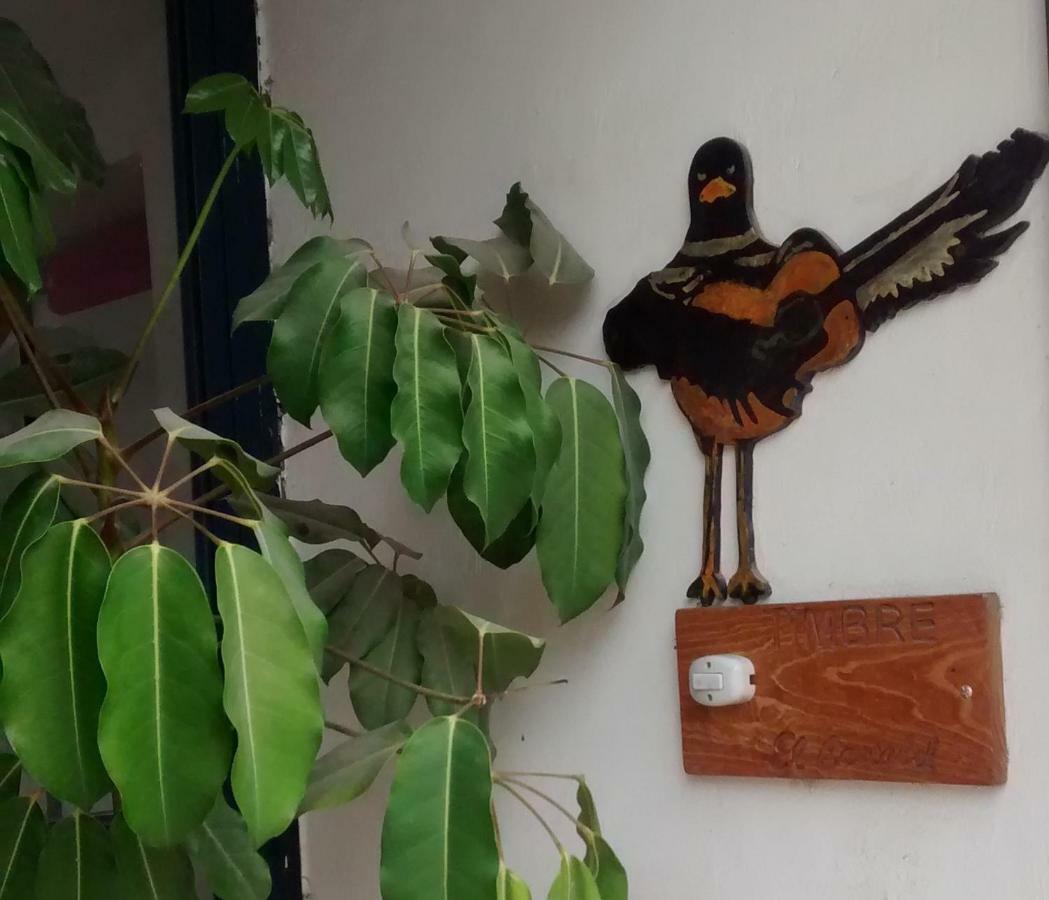 צ'ולולה Hostal El Cascabel מראה חיצוני תמונה