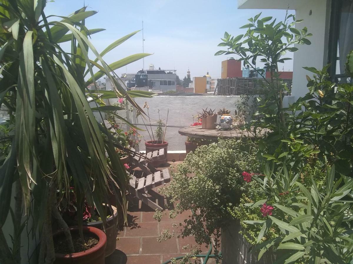 צ'ולולה Hostal El Cascabel מראה חיצוני תמונה